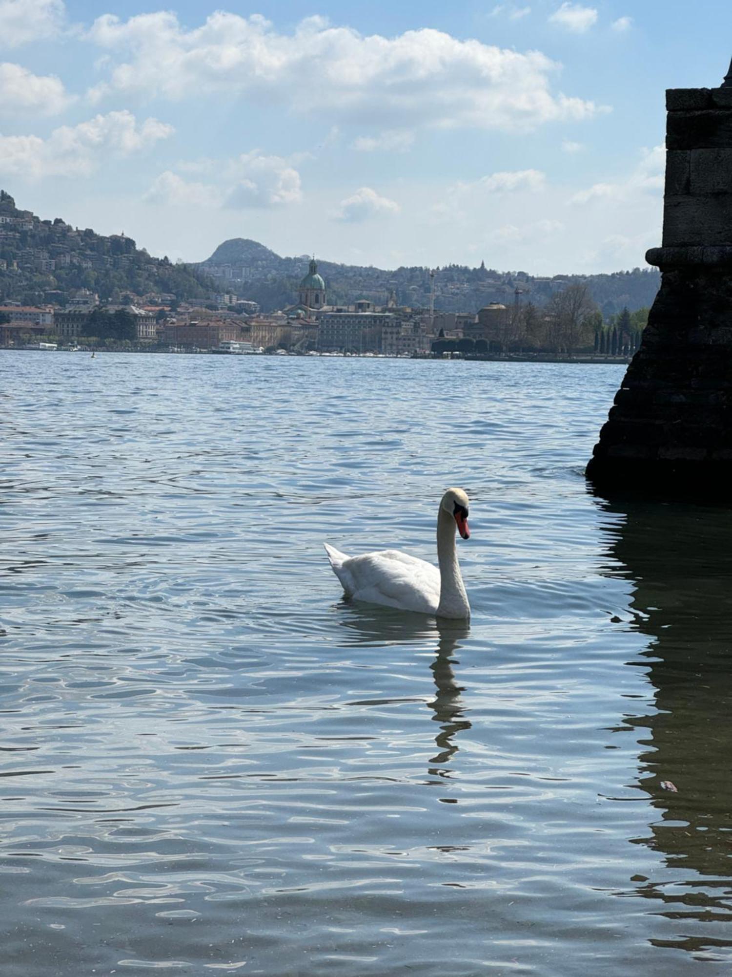 Portatorre Suite, A Charming Apartment In The Heart Of Como, Free Private Parking, Air Conditioning & More! Zewnętrze zdjęcie